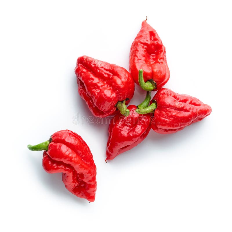 Hot red ghost peppers stock photo. Image of peppers 238141942