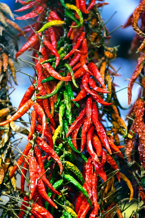 Red And Green Hot Chilly Peppers Stock Image Image of food, colorful