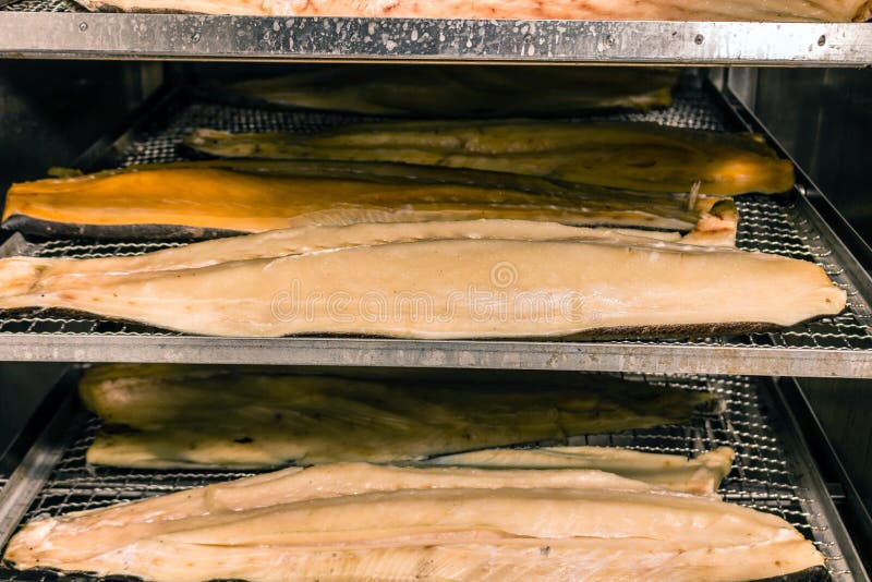 Hot Smoked Fish. Fish Production in Progress Stock Photo Image of