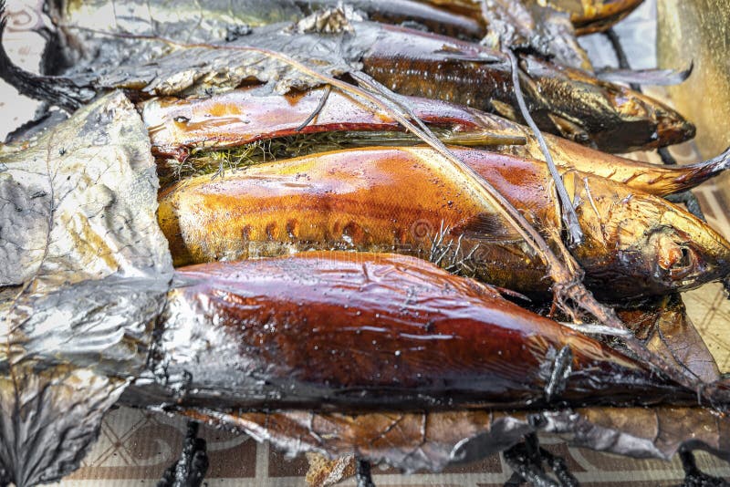 Hot Smoked Mackerel Fish on the Grill. Freshly Cooked Fish Close Up Stock Image Image of