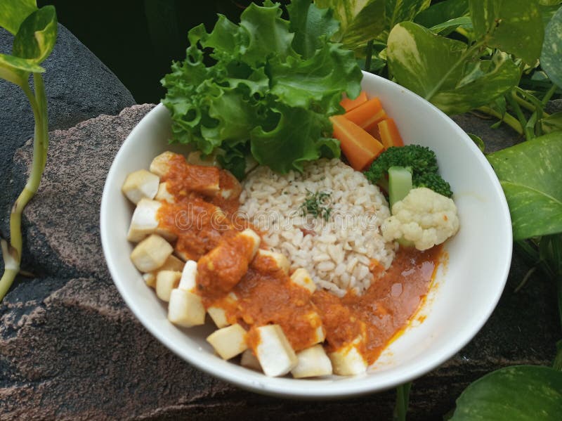 Hot Spicy Tofu stock photo. Image of veganfood, healthyfood - 265806718