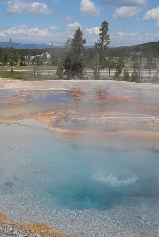 Hot spring Geyser_Bacterial formation