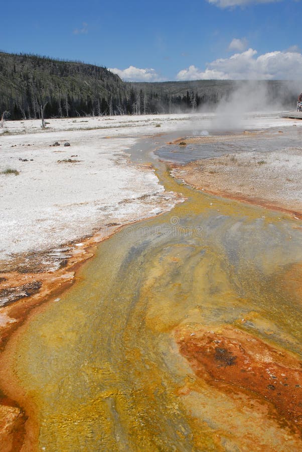 Hot spring Geyser_Bacterial formation