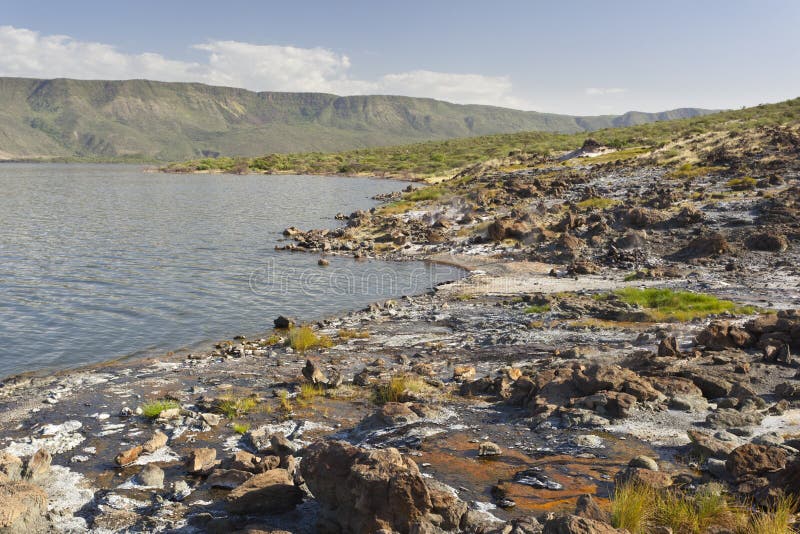 Hot Springs at Lake Bogoria in Kenya Stock Photo Image of steam