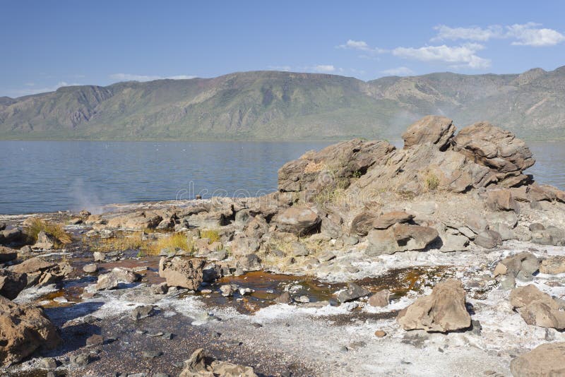 Hot Springs at Lake Bogoria in Kenya. Stock Photo Image of national