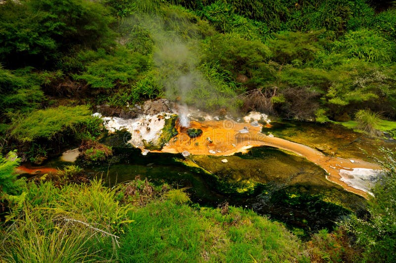 Hot Stream With Mineral Sediments Waimangu Volcan Stock Photo Image