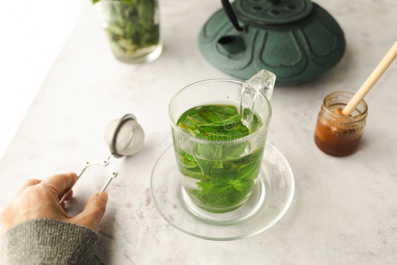 Hot Tea with Fresh Mint Leaves Stock Image Image of flower, aromatherapy 269837497