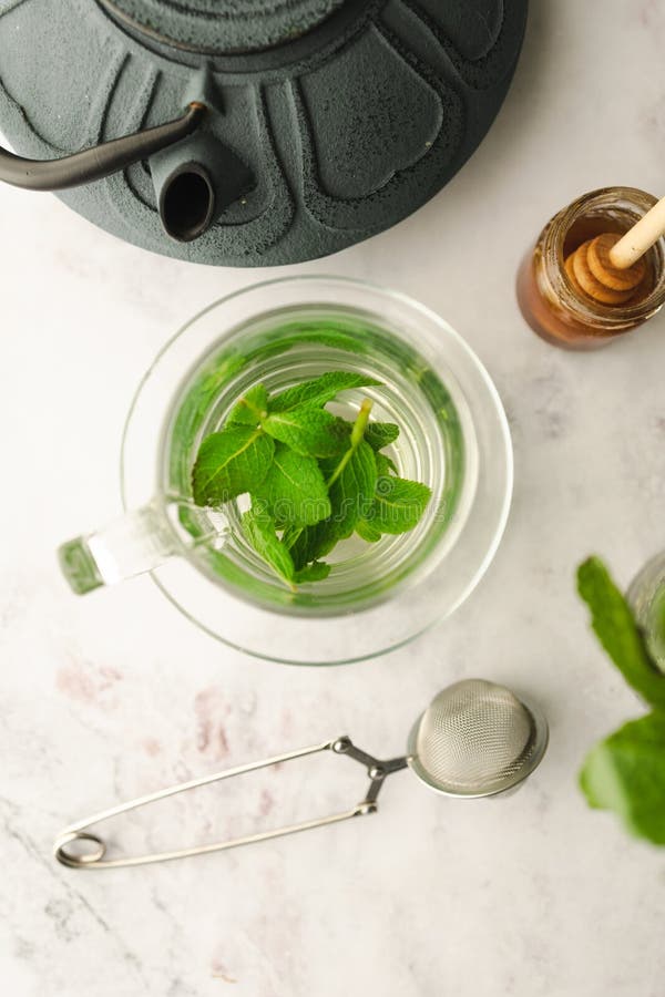 Hot Tea with Fresh Mint Leaves Stock Image Image of tree, produce
