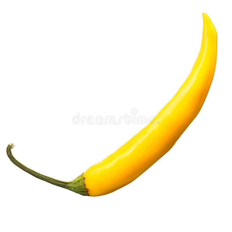 Hot Yellow Chili Or Chilli Pepper Isolated Stock Image Image of