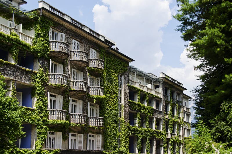 Hotel covered with vegetation