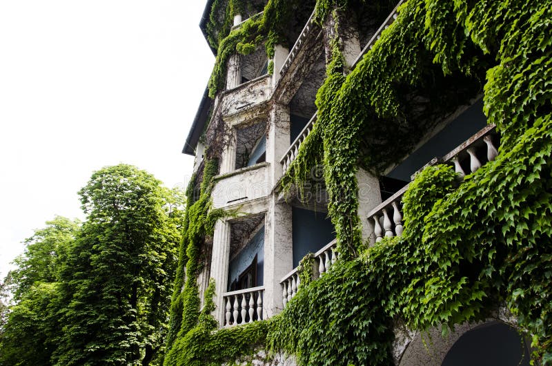 Hotel covered with vegetation