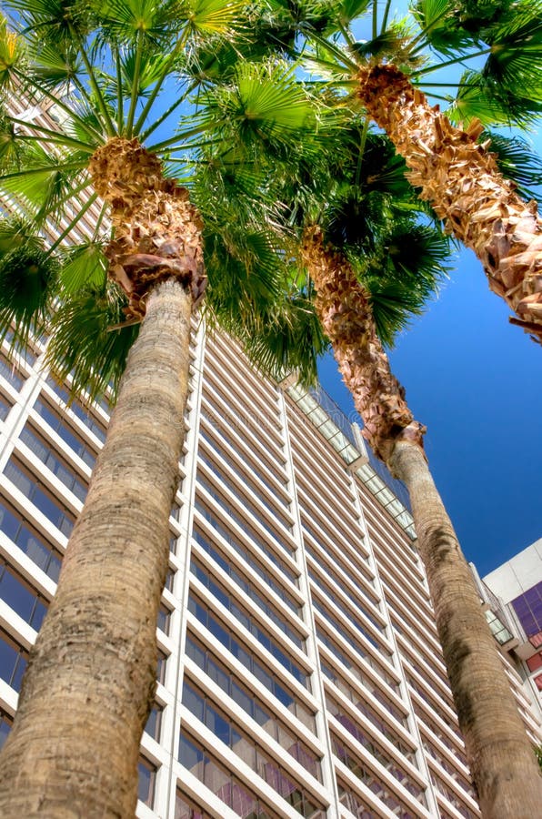 Low perspective view of the Flamingo Hotel tower in Las Vegas Nevada. Low perspective view of the Flamingo Hotel tower in Las Vegas Nevada