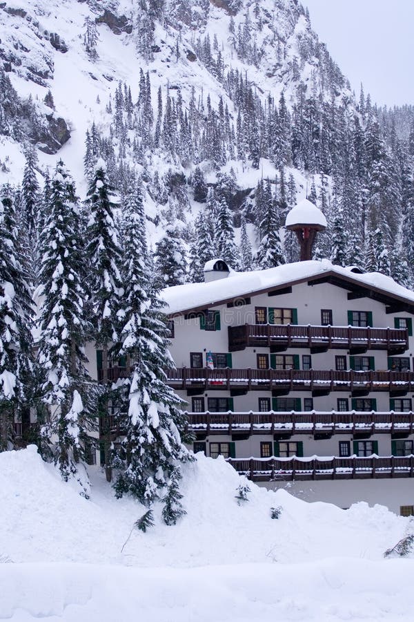 Hotel in snow vertical