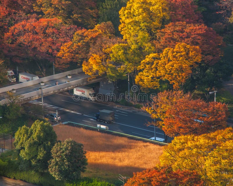 Hotel View at Shinjuku Washington Hotel, Japan: Autumn Beauty at its Finest