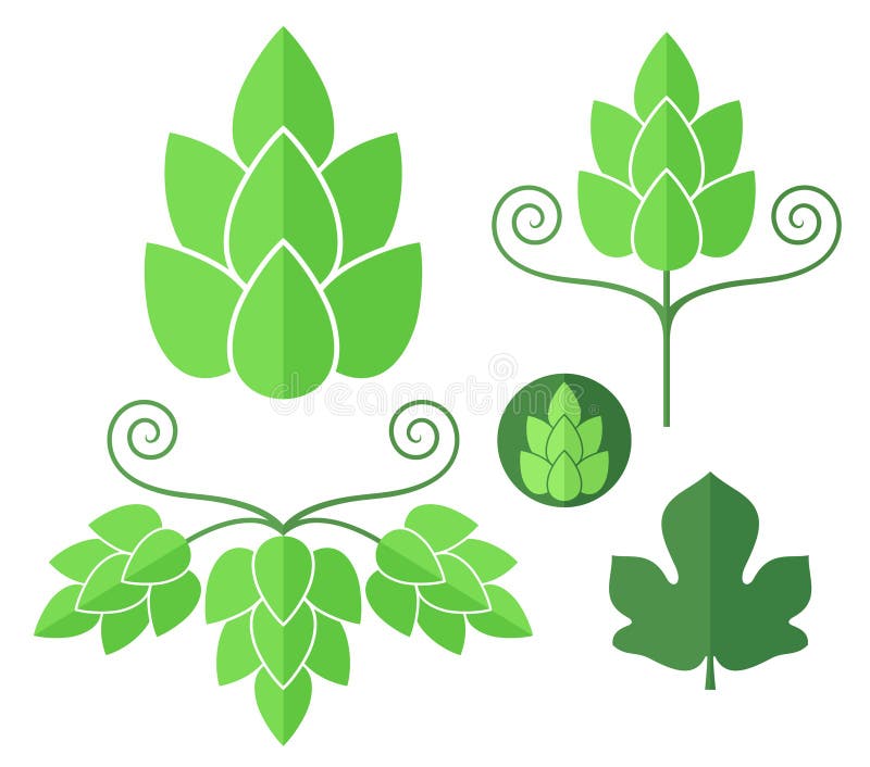 Houblon positionnement illustration libre de droits Houblon positionnement illustration libre de droits