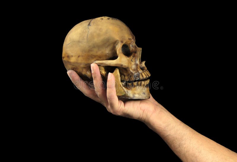 Houdend menselijke schedel in hand Conceptueel beeld (De scèneconcept van het Gehucht van Shakespeare) royalty-vrije stock afbeelding Houdend menselijke schedel in hand Conceptueel beeld (De scèneconcept van het Gehucht van Shakespeare) royalty-vrije stock afbeelding