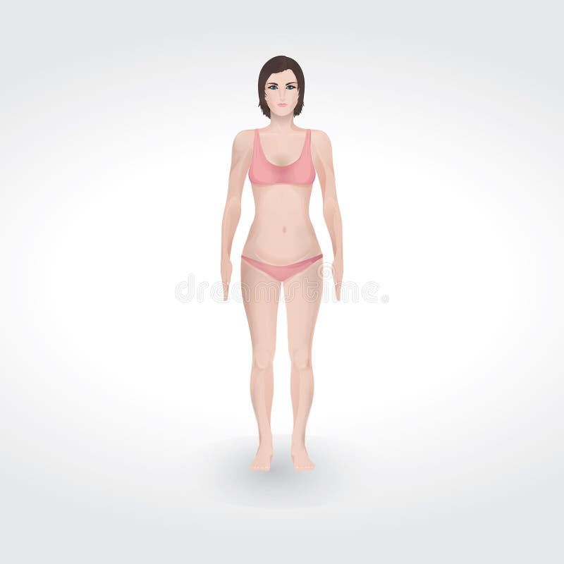 22,900+ Hourglass Body Stock Photos, Pictures & Royalty-Free