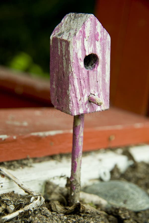 House for birds