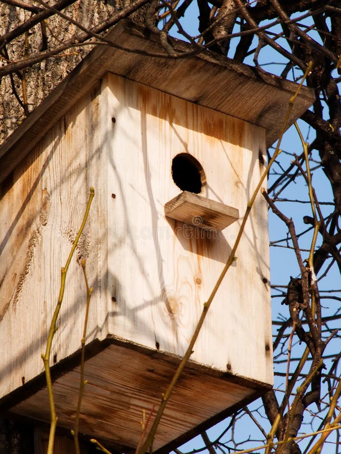 The house for birds