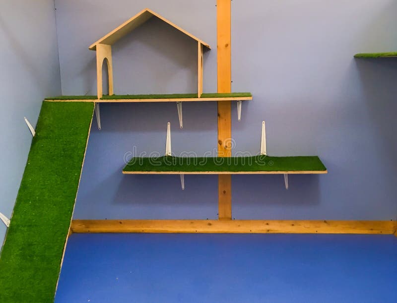 The House for Cats in the Zoo.cat House with Scratching Post. Cozy