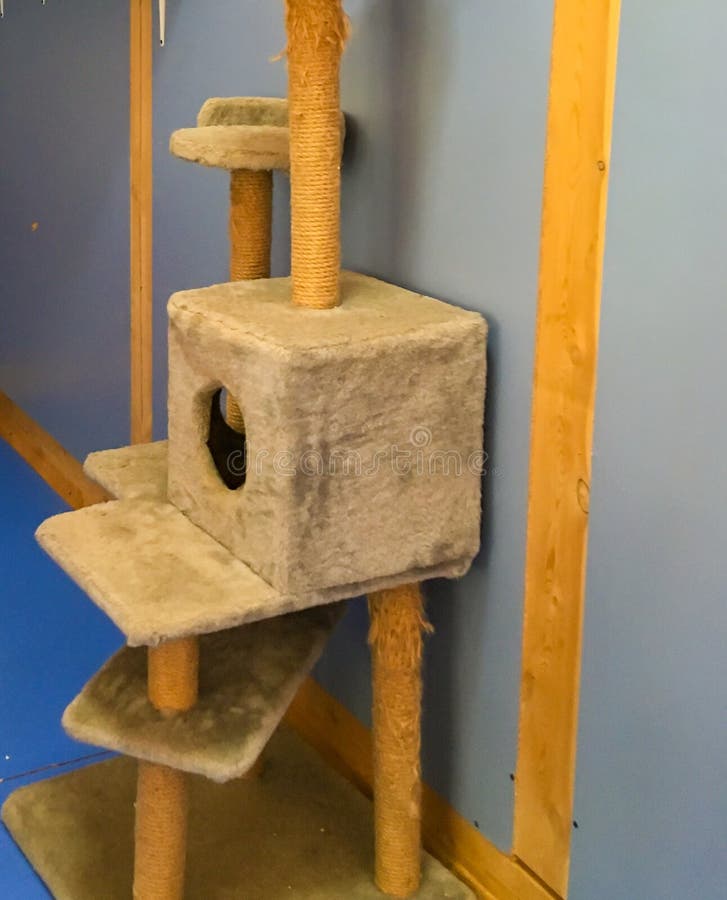 The House for Cats in the Zoo.cat House with Scratching Post. Cozy