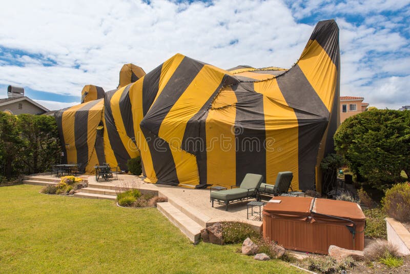 House is covered by tent for fumigation