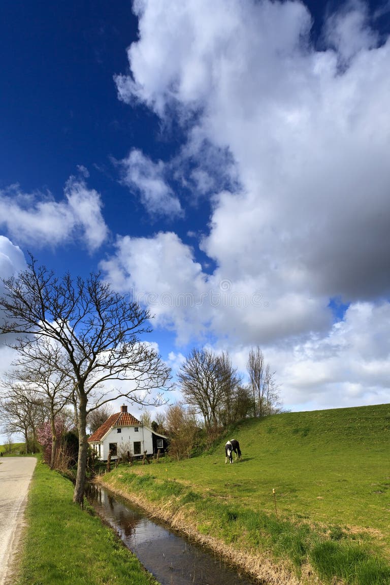 3,098 Agriculture House Horse Stock Photos Free & RoyaltyFree Stock
