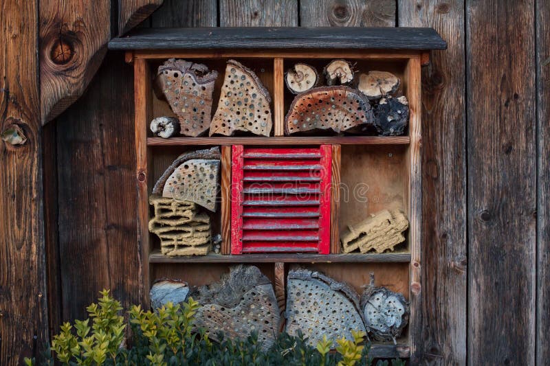 House for insects - Insect hotel