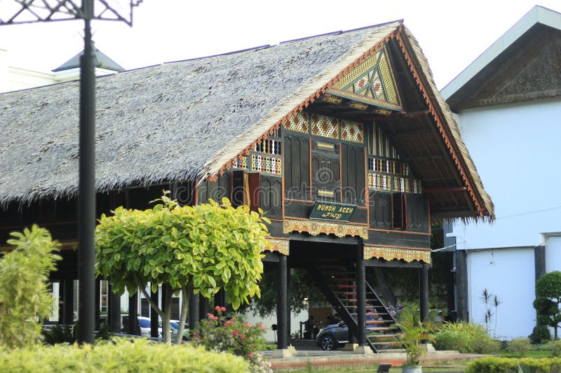 HOW IS WOOD MADE FROM TREES visual data 2