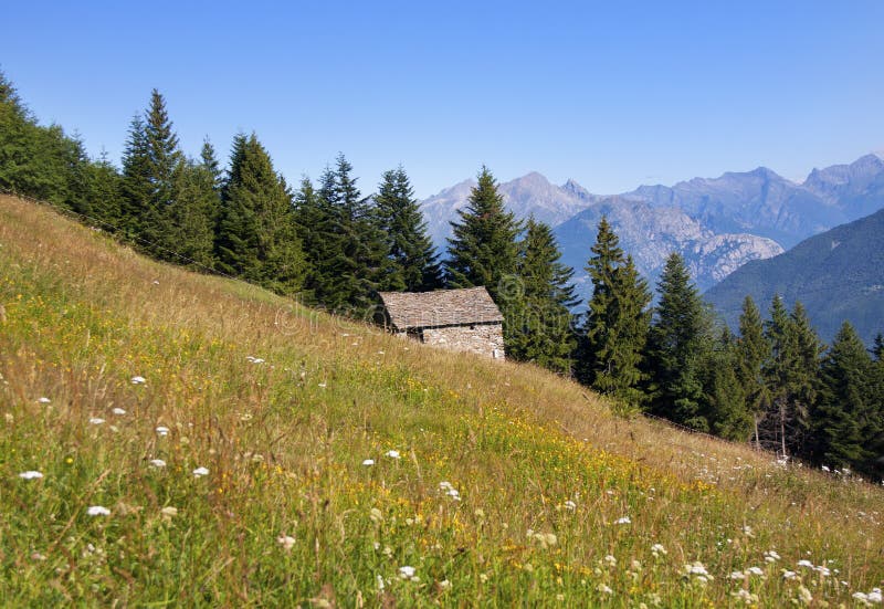 House in the meadow