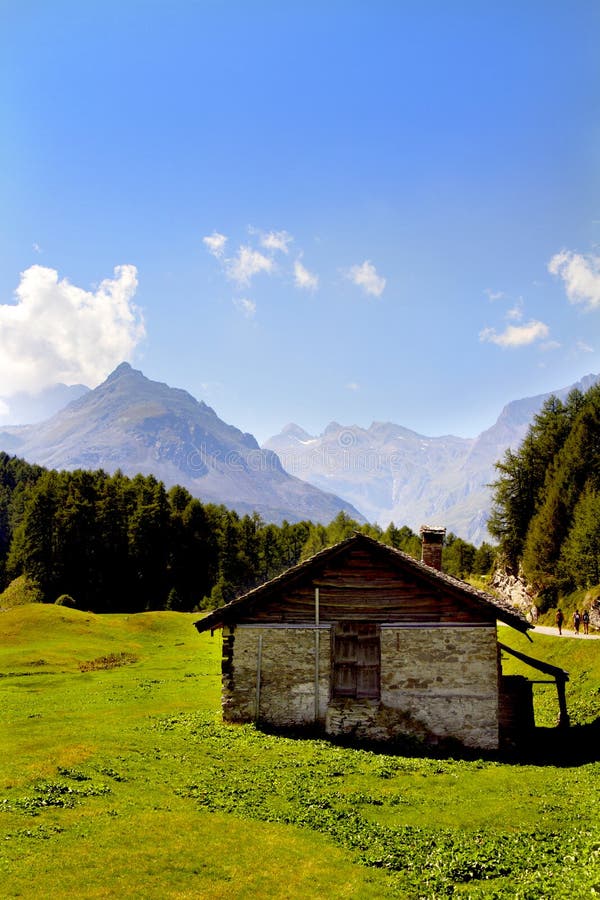 House in the meadow