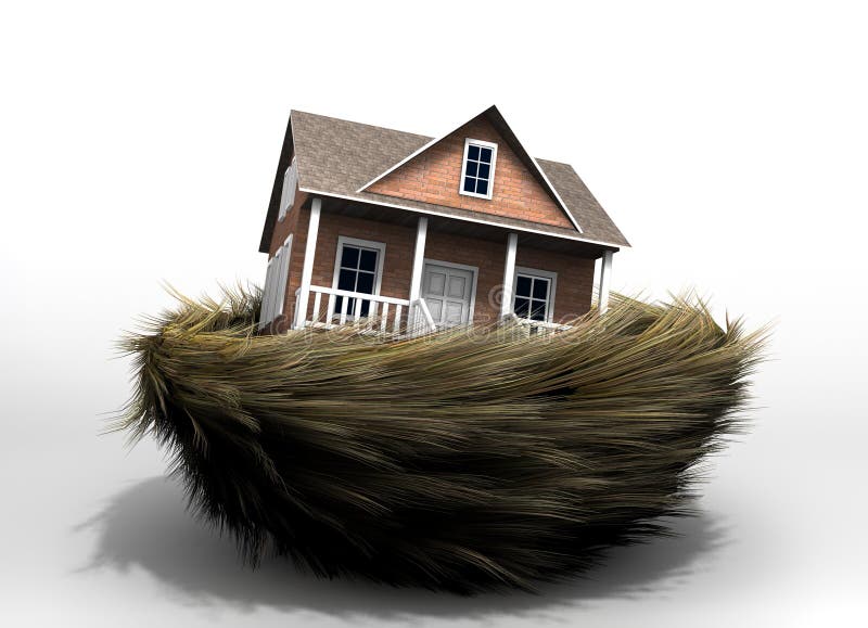 House in nest