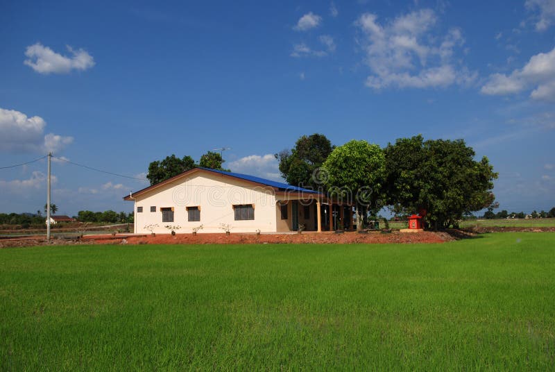 House, paddy field countryside