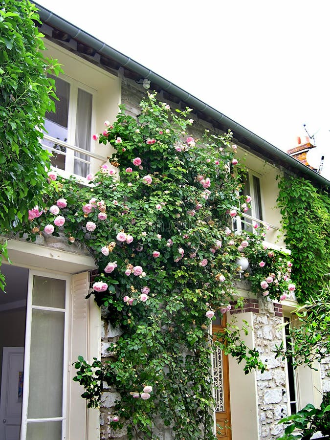 House with red roses stock image. Image of entrance, flower 5205107