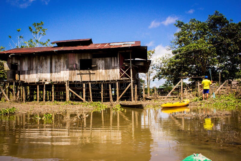 Amazon Jungle House (The Amazonia) Stock Image Image of production