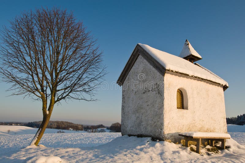 House and tree in snow