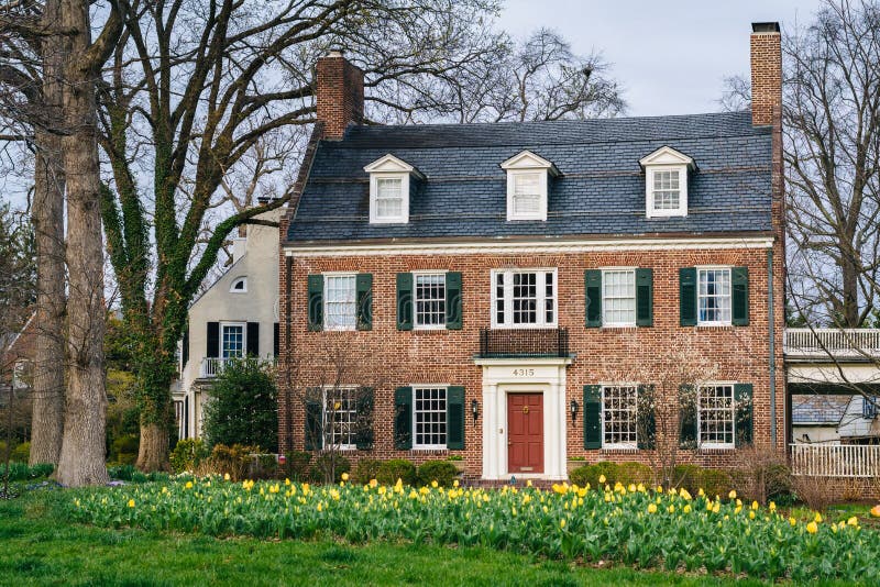 House and Tulips in Guilford, Baltimore, Maryland Stock Photo Image