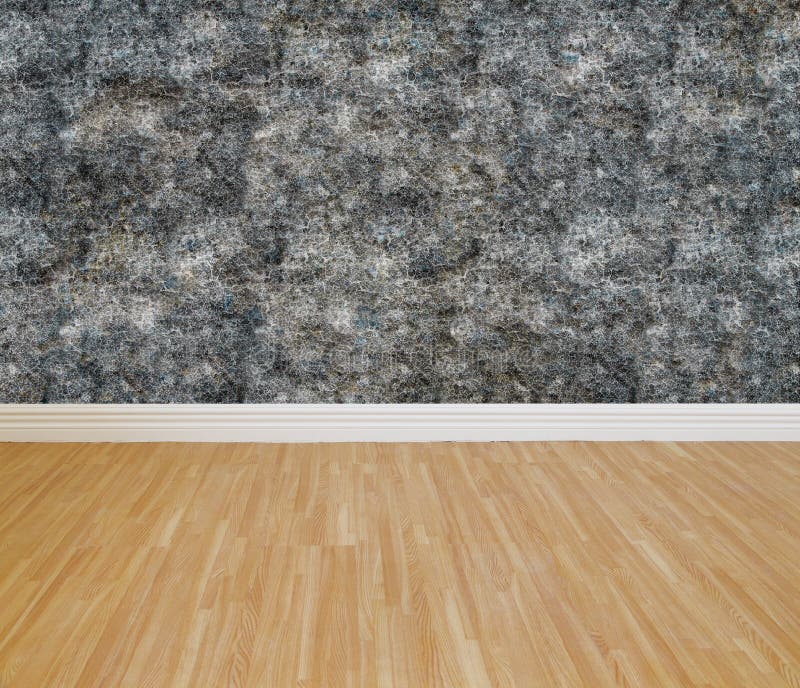 House wall painting stock image. Image of grain, beige 28035803