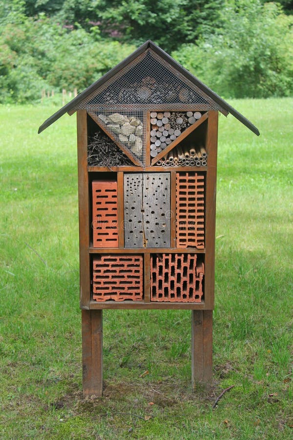 House for wild insects in the park