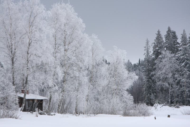 House in winter