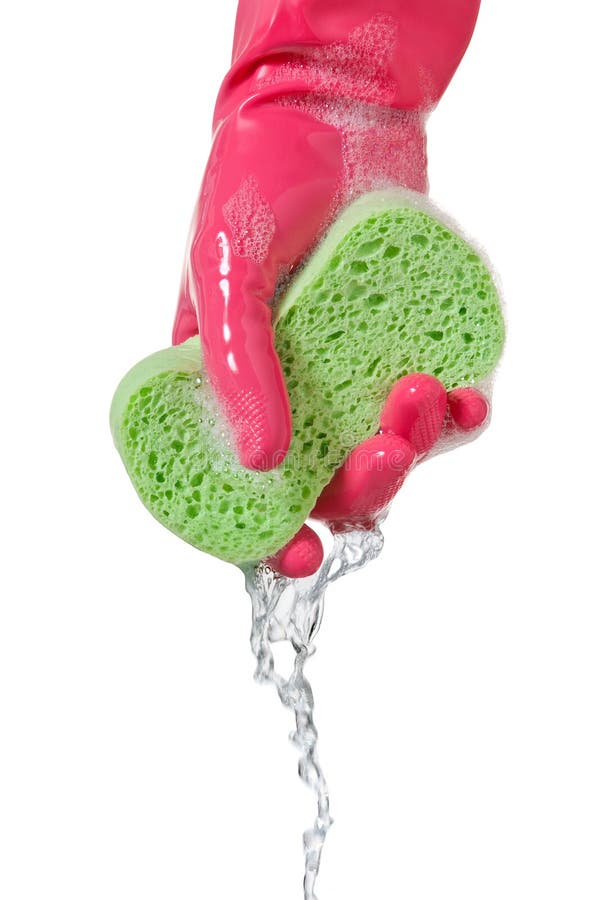 Fuchsia rubber glove squeezing water from a green sponge. Fuchsia rubber glove squeezing water from a green sponge