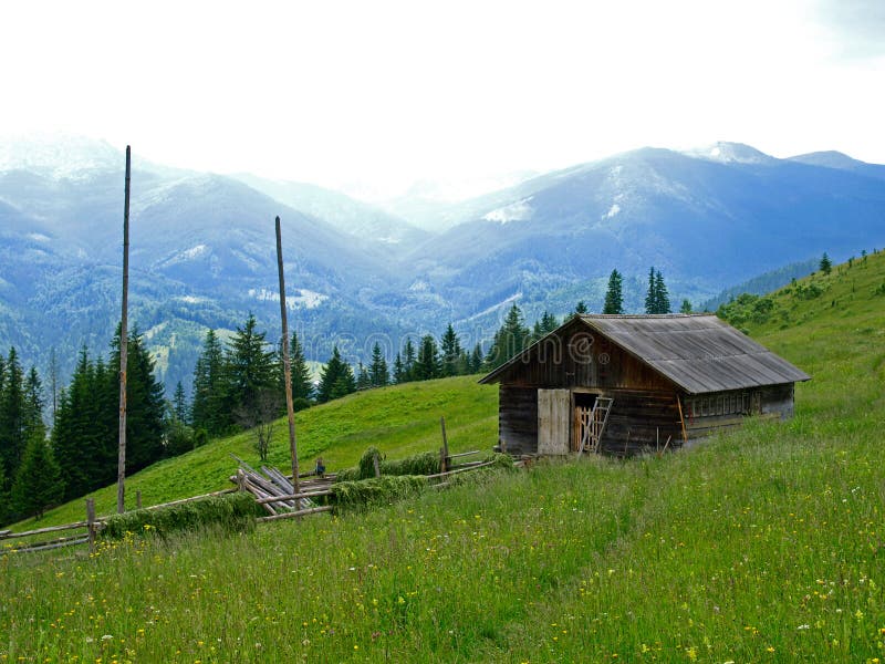 Household Farmer barn or hut high on the meadow in green mountains