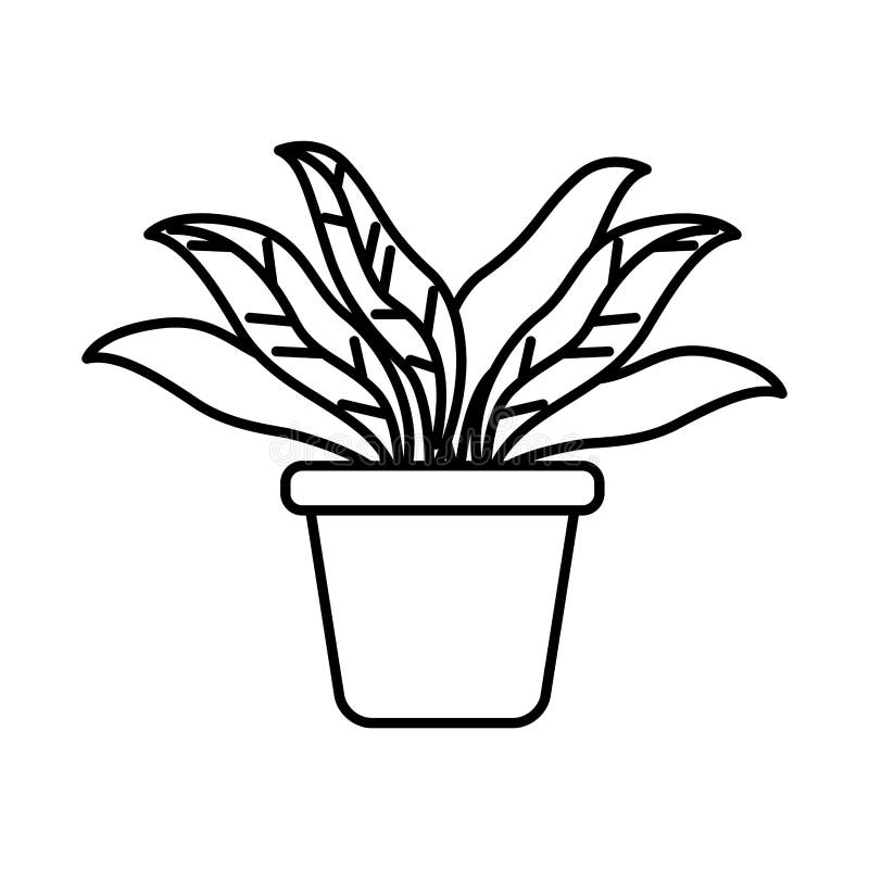 Houseplant in Pot Isolated Icon Stock Vector - Illustration of flower ...