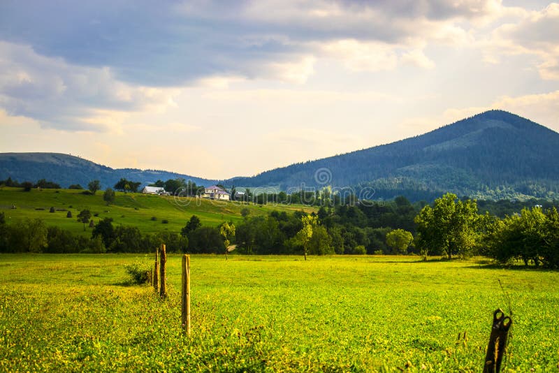 Houses above the fields stock image. Image of green, august - 98297145