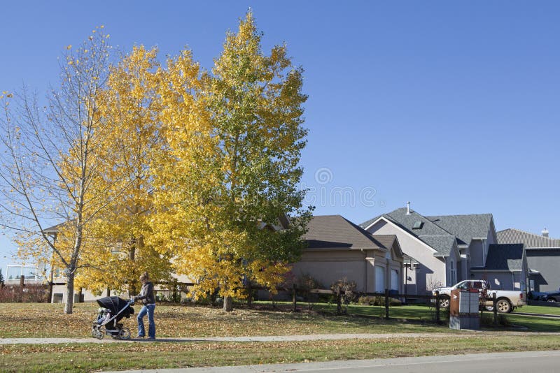 Houses in Alberta, Canada editorial stock image. Image of sands 42945654