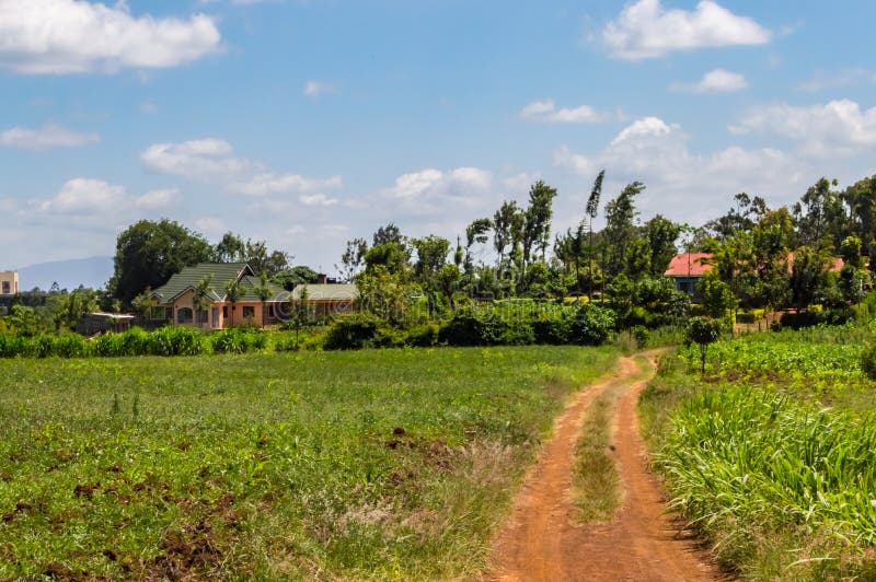 Houses at the End of a Dirt Road in the Bush Stock Photo - Image of ...