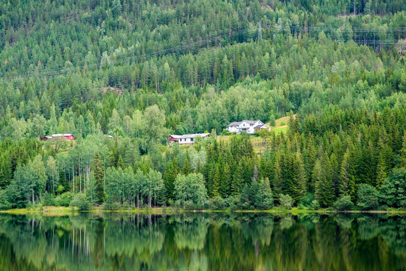 Houses On A Hill On The Shore Of The Forest Lake Norway Stock Photo