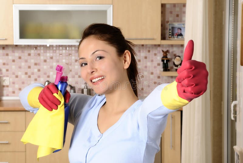 Housewife Cleaning The House Stock Image Image 18613075