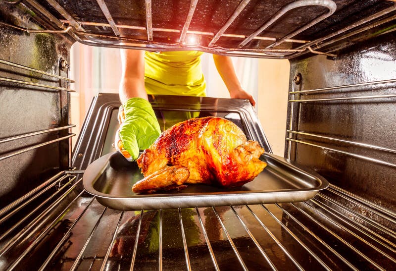 Chicken in oven stock image. Image of fresh, bird, cuisine - 7671171