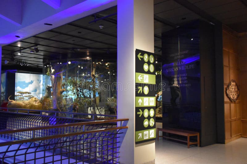 Houston Museum of Natural Science in Texas Editorial Image Image of